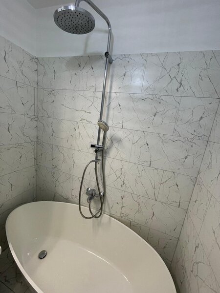 Piata Victoriei, Iancu de Hunedoara,